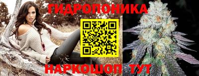 ешки Славгород