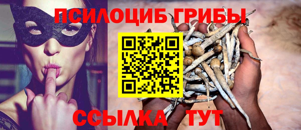Нефтеюганск  Псилоцибиновые грибы Psilocybe  Вход с VPN 